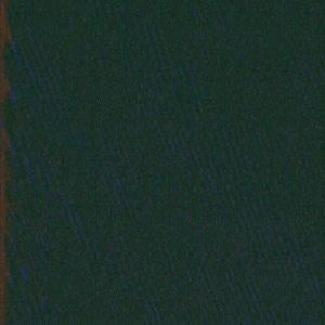 Meet your Posher, Ericka